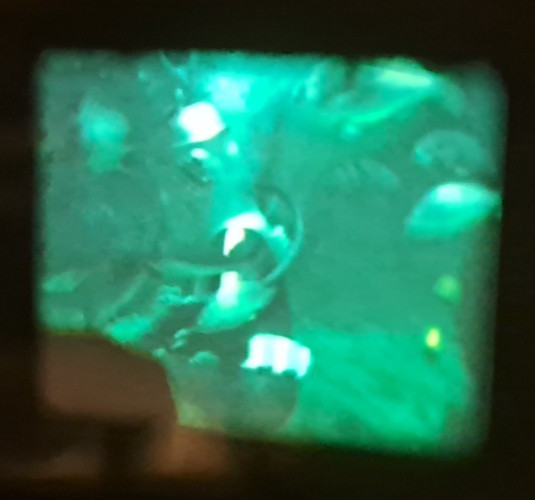 2 home movies in 8mm. Black and white and color – Europe, USA – 1960’s