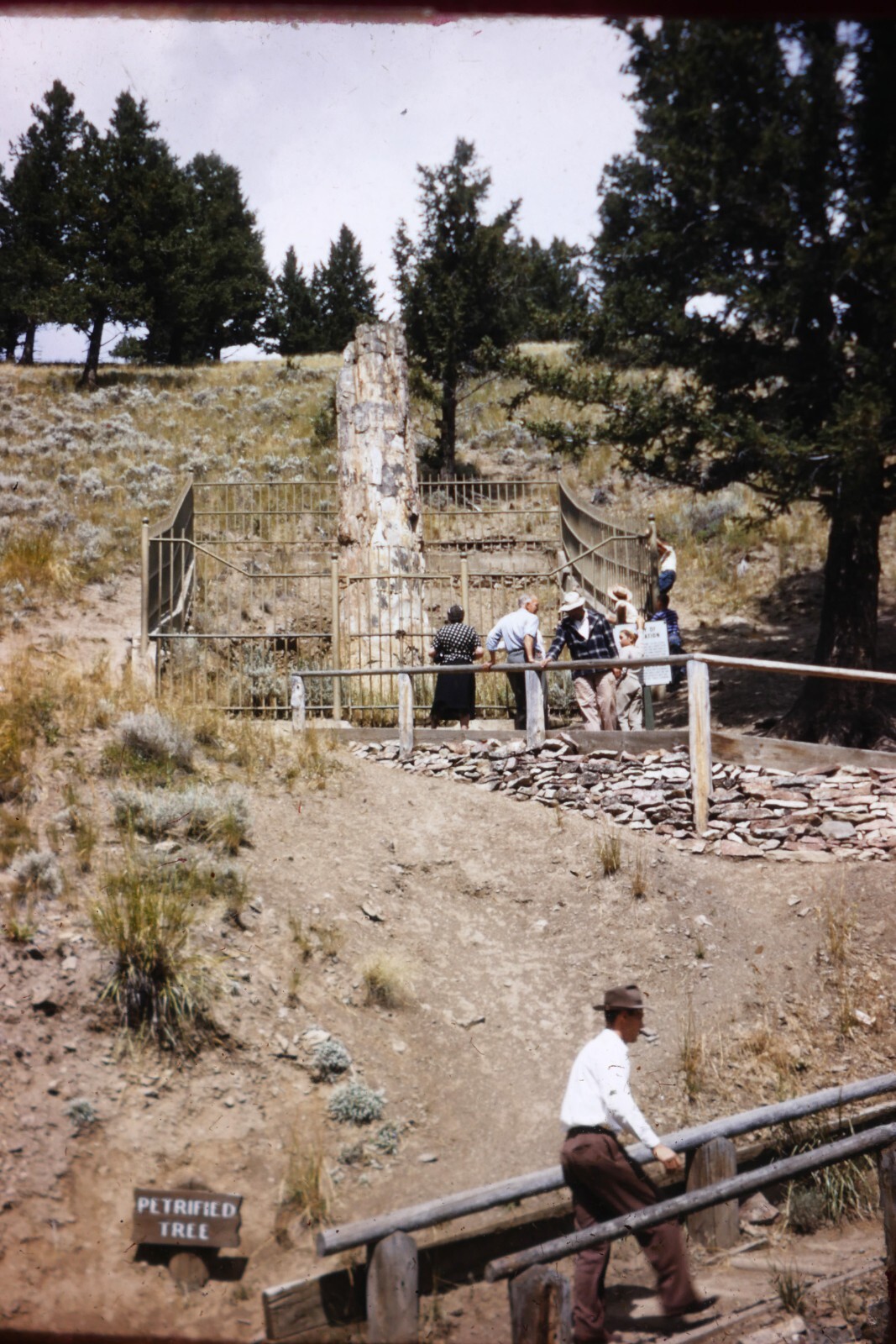 12 Slides Leica Slide Binders Yellowstone Mount Rushmore vintage 1950s?