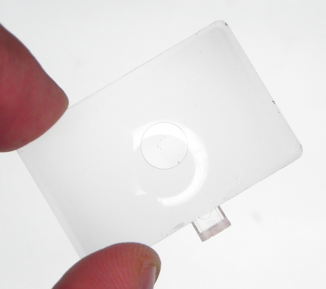 Leica 14304 Focusing Screen for R4,R5,R6,R7