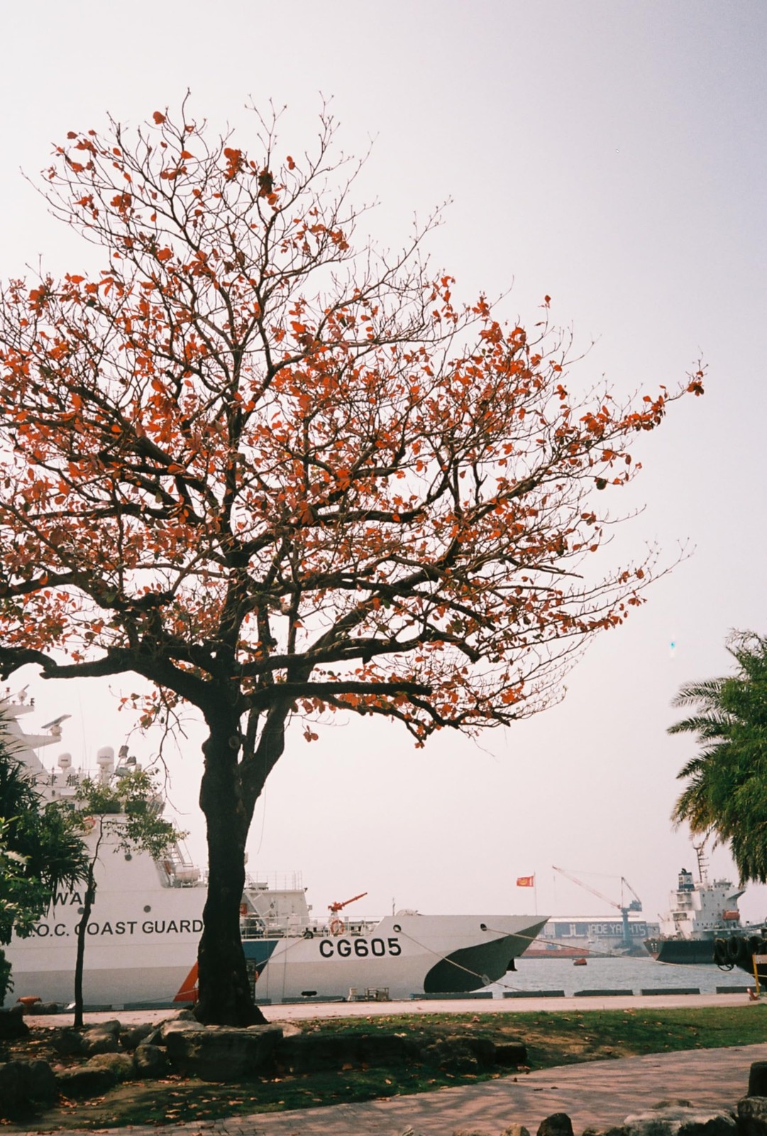 RETOCOLOR Maple 100 35mm Color Negative Film, 27EXP, ISO100, C41-processing, …