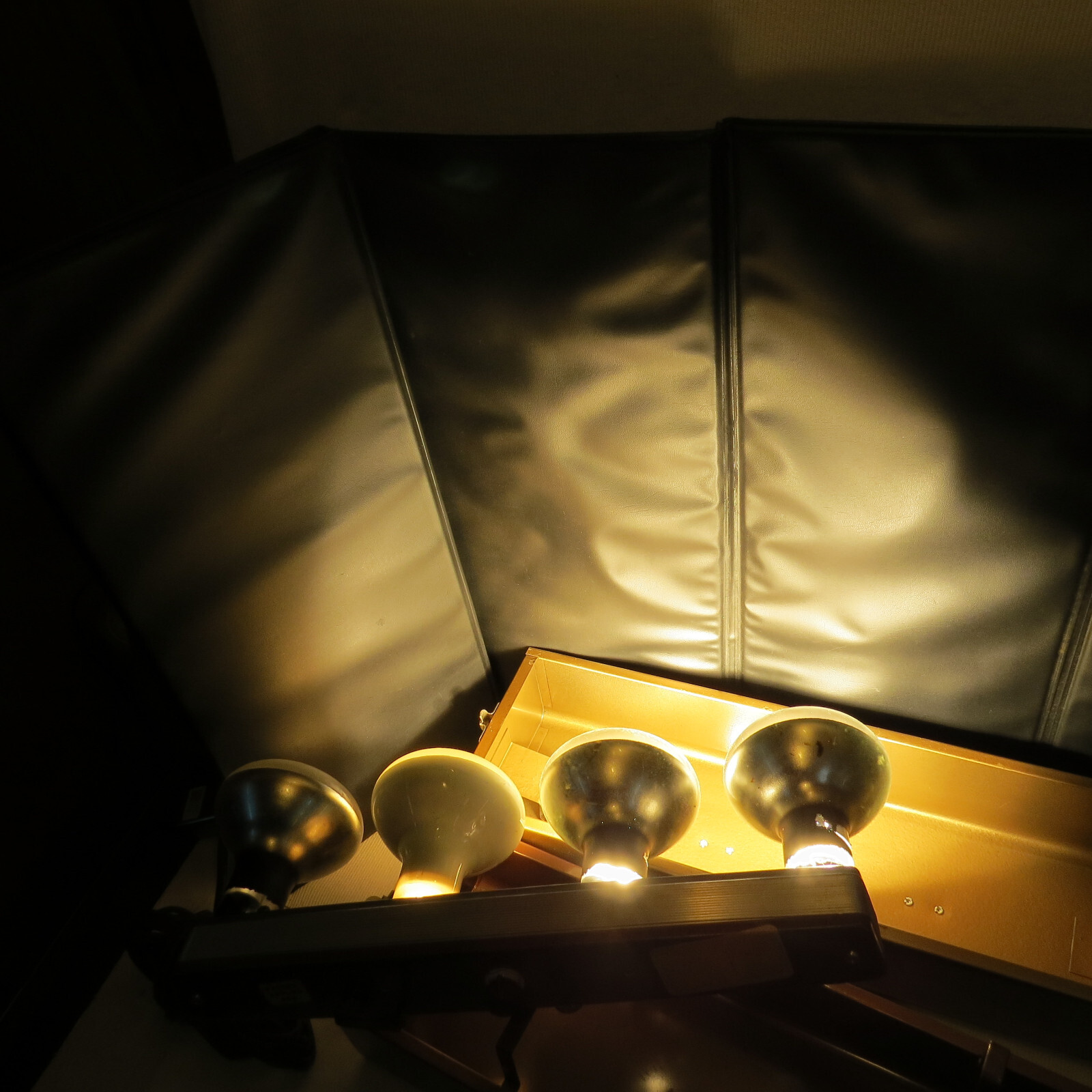 Vintage LITE 2, Electric Eye Bounce 4-Bulb Flood Light Bar Complete TESTED WORKS