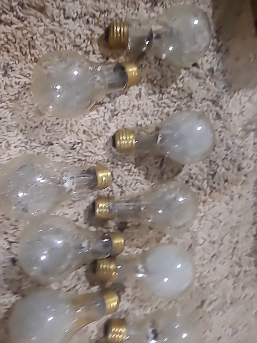 Sylvania Flashbulb No. 2 Wabash Set Of 14