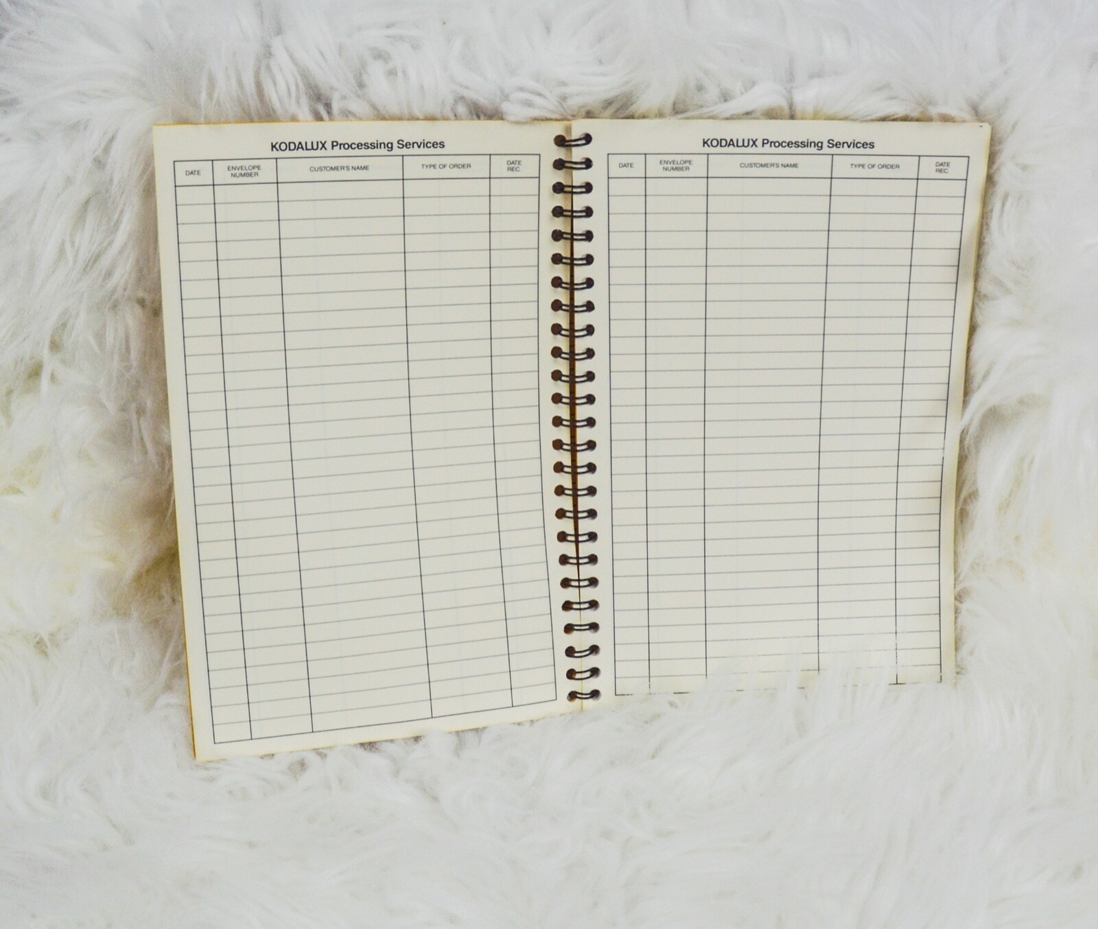 Vintage Kodalux Record Book Processing Services