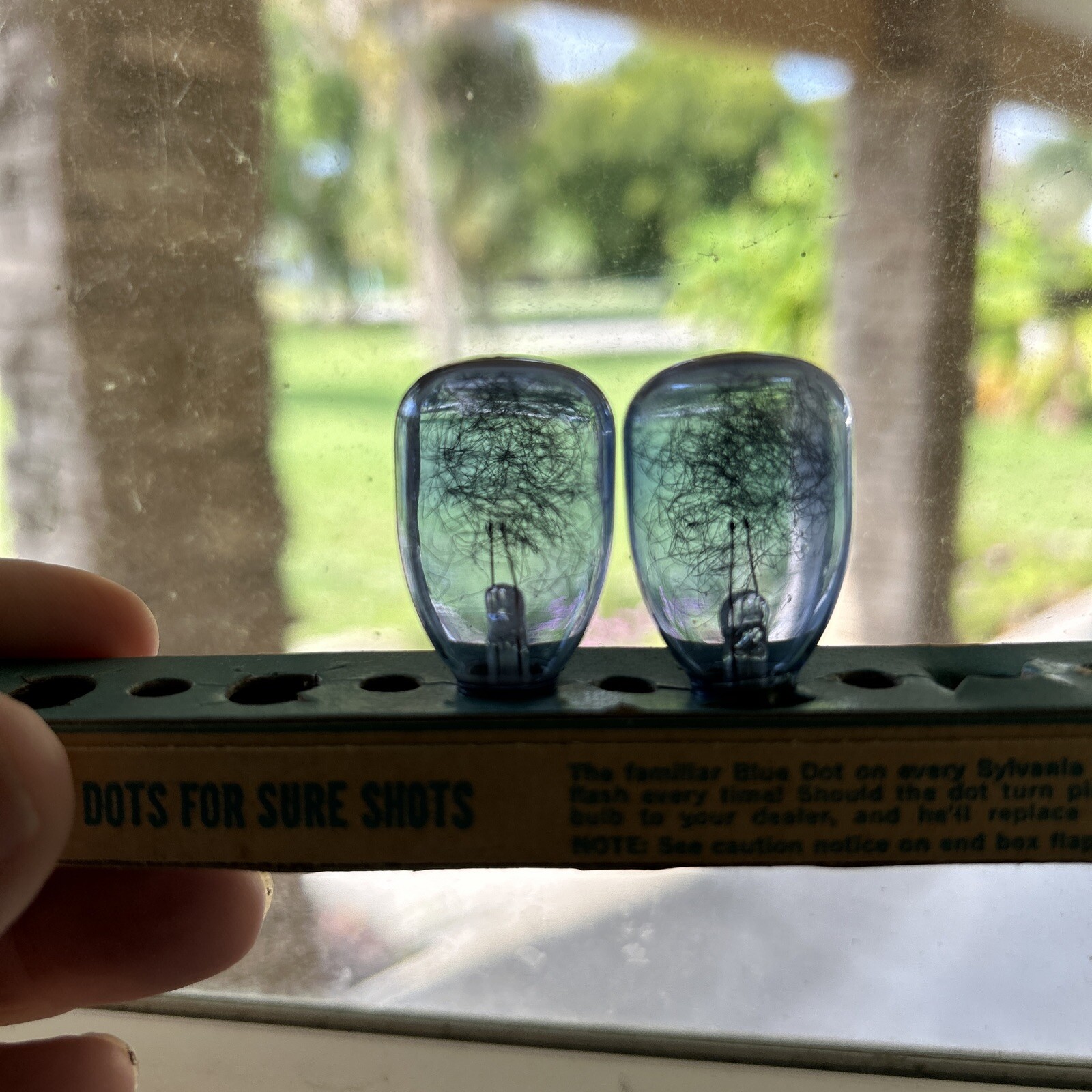 Vintage Sylvania M3 Blue Dot Flashbulbs 12 Clear + 2 Blue New Open Box