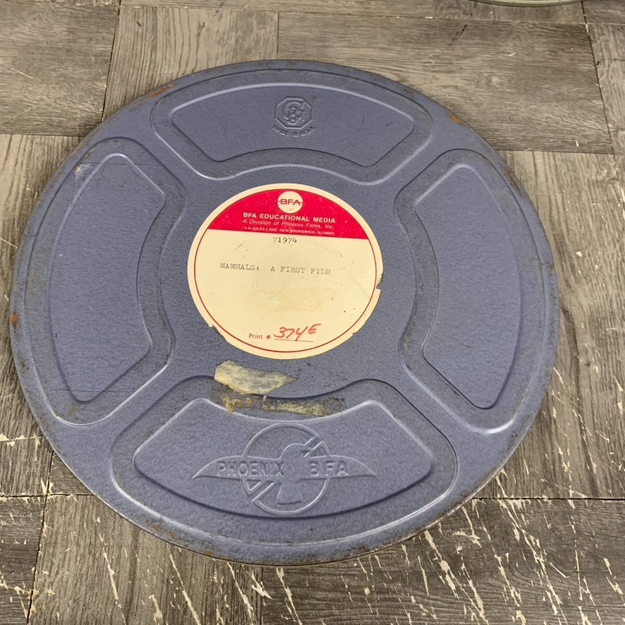 5 x Vintage 10.5 Metal Film Reel Canister Case Empty Various Colors