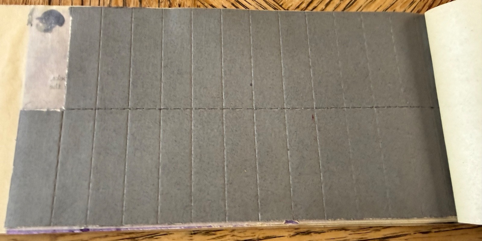 1920’s Velox Transparent WATER COLOR Stamps EASTMAN KODAK Co Color Photos