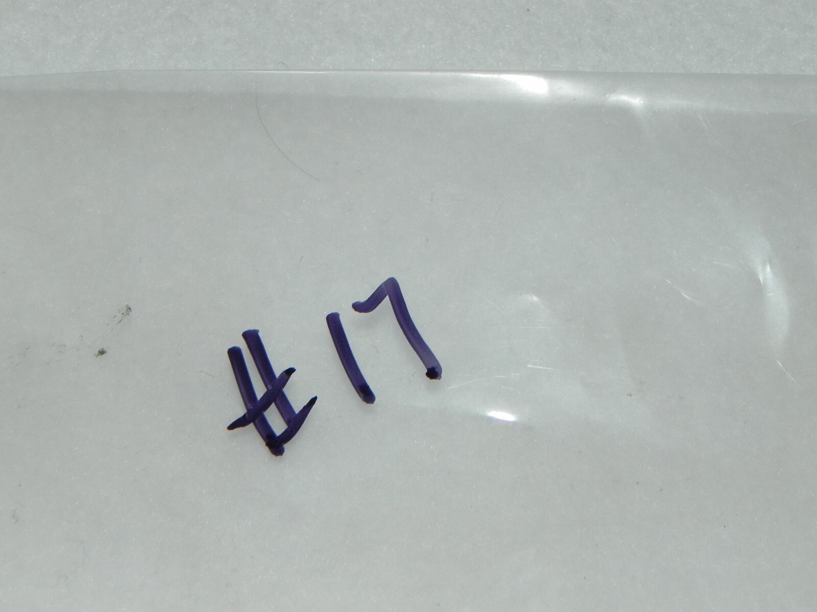 Ampro Futurist 8 Projector Parts: Springs & Spring type things