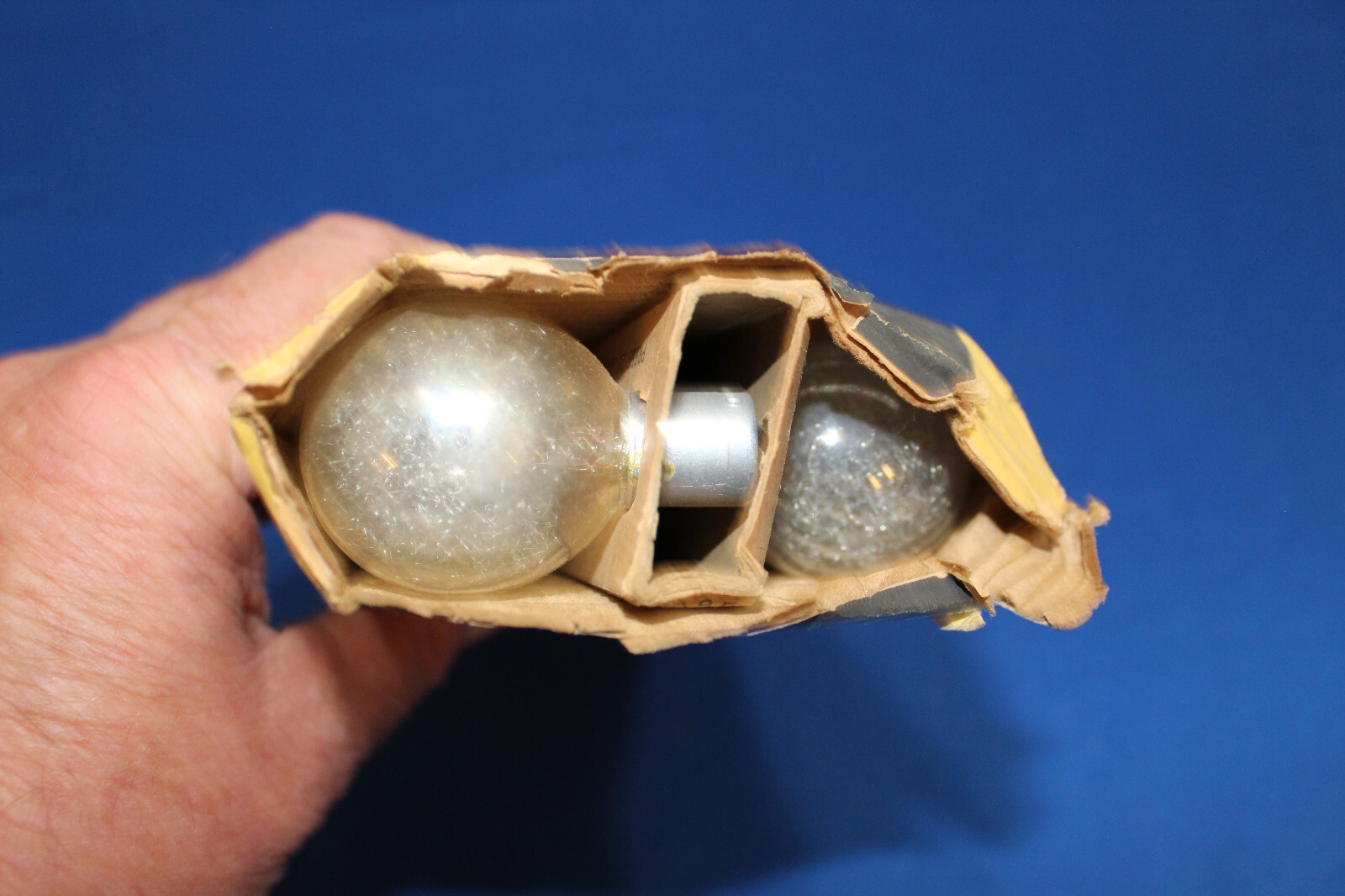 VTG Sylvania Superflash Flashbulbs Clear 10 New Bulbs New Old Stock Item