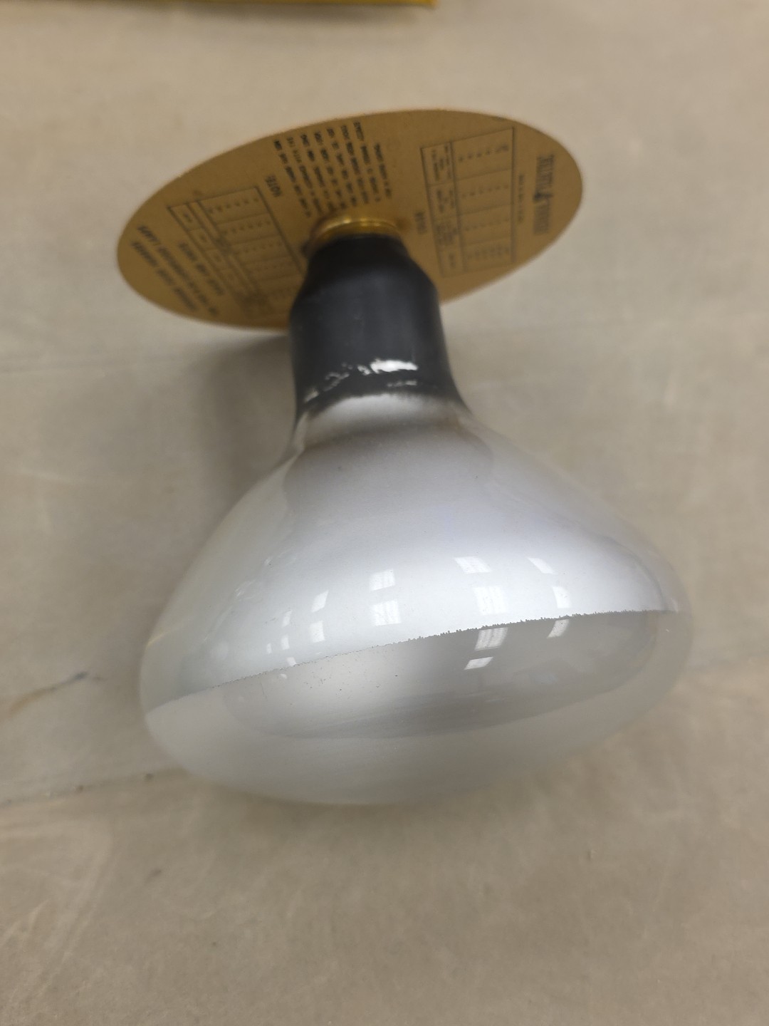 Vintage 1950s Sylvania R34 115-120V 375 Watt Movie Light and Box New Old Stock