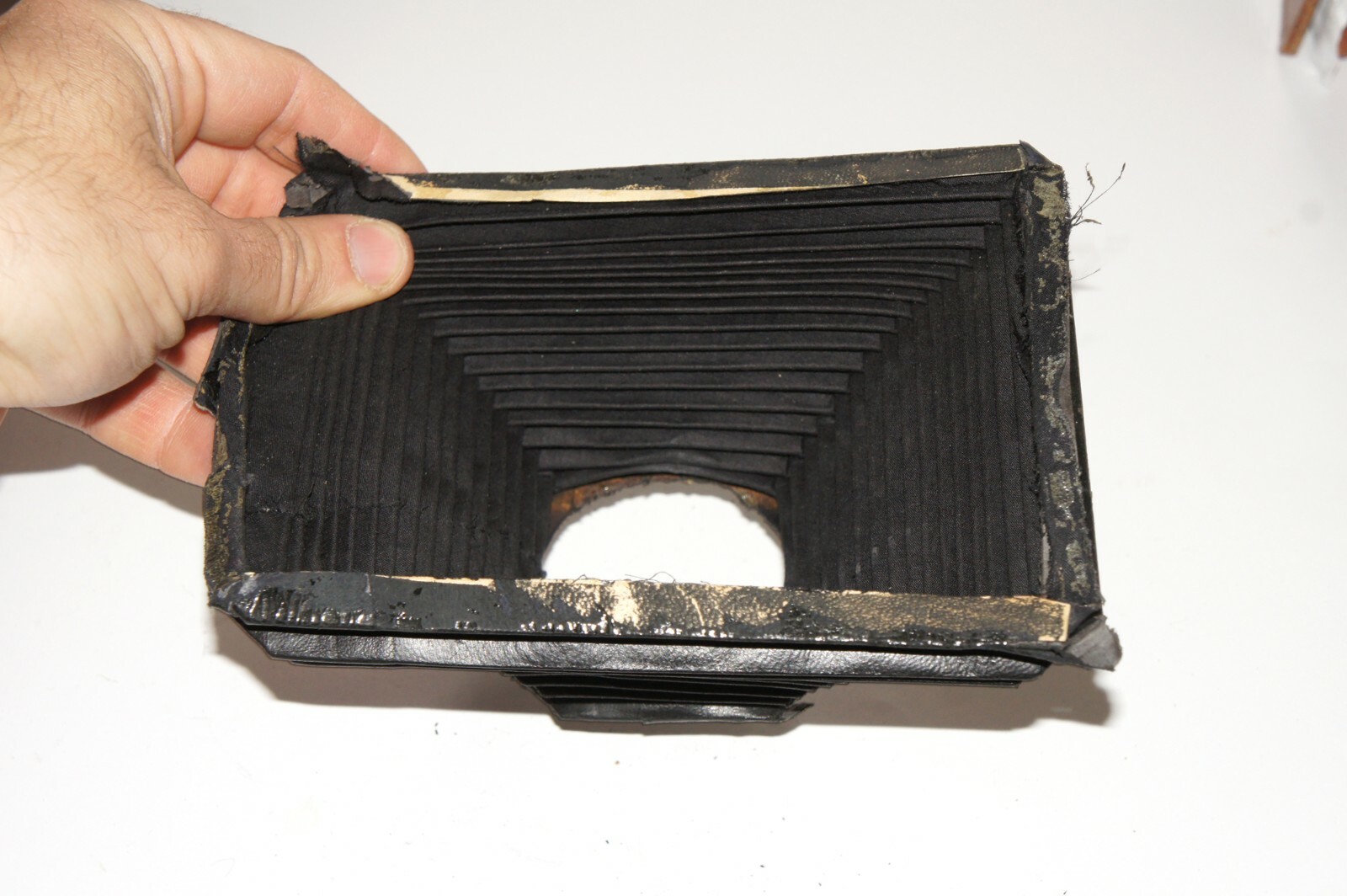 Bellows for large 10×15 cm format camera. Taken from Goerz camera