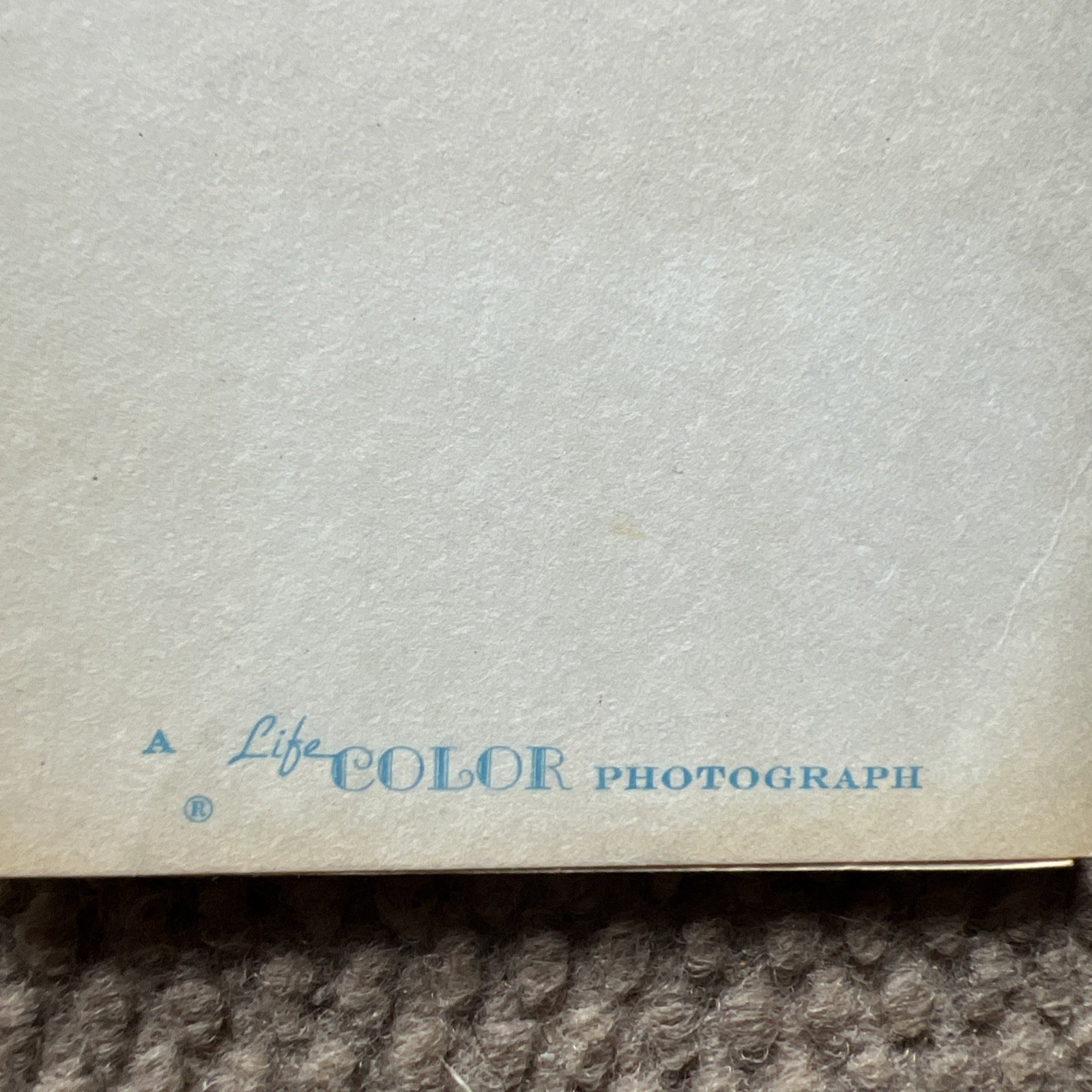 5 VTG 1960’S Photograph CARDS Stock Folder For ” SANTA AND ME ” Photo