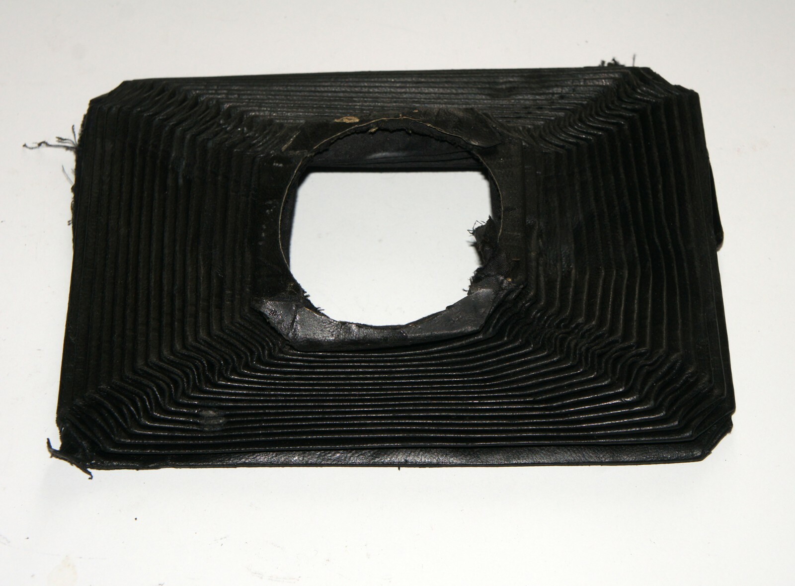 Bellows for large 10×15 cm format camera. Taken from Goerz camera