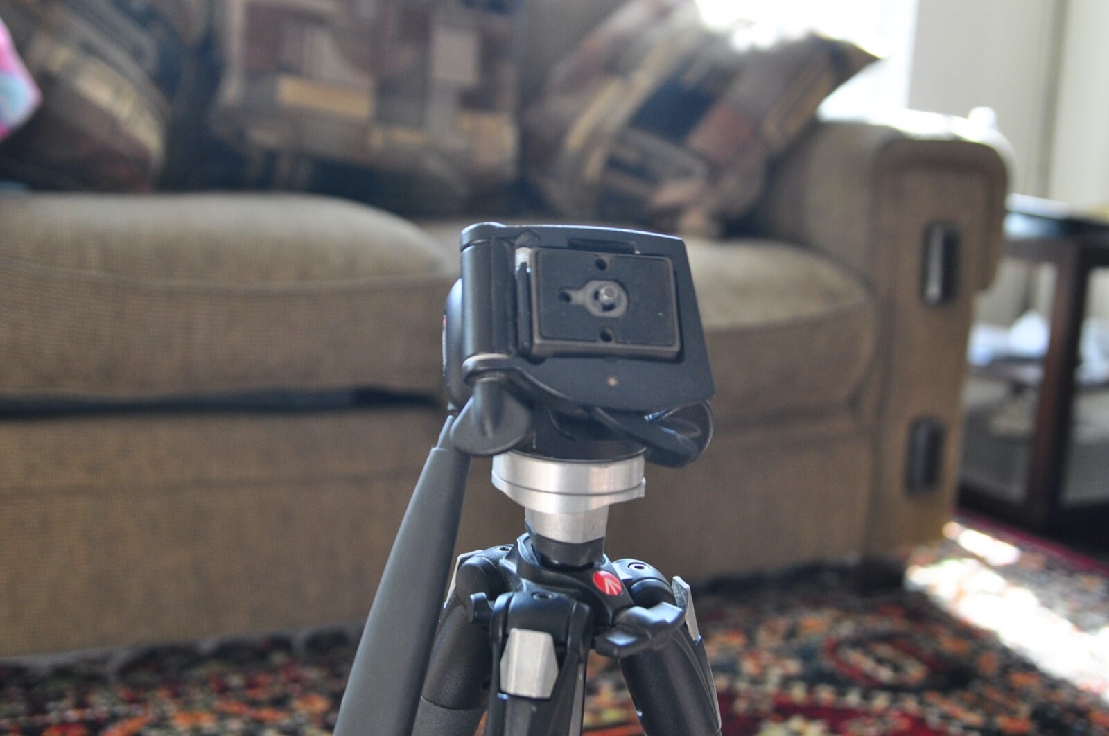 Manfrotto 190XB Benro FGP 28C Tripods for Nikon canon Leica Sony Minolta