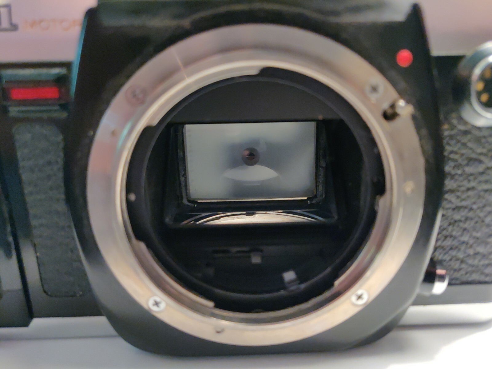 Canon T50 Konica FT-1 Olympus OMG Olympus Camera bodies