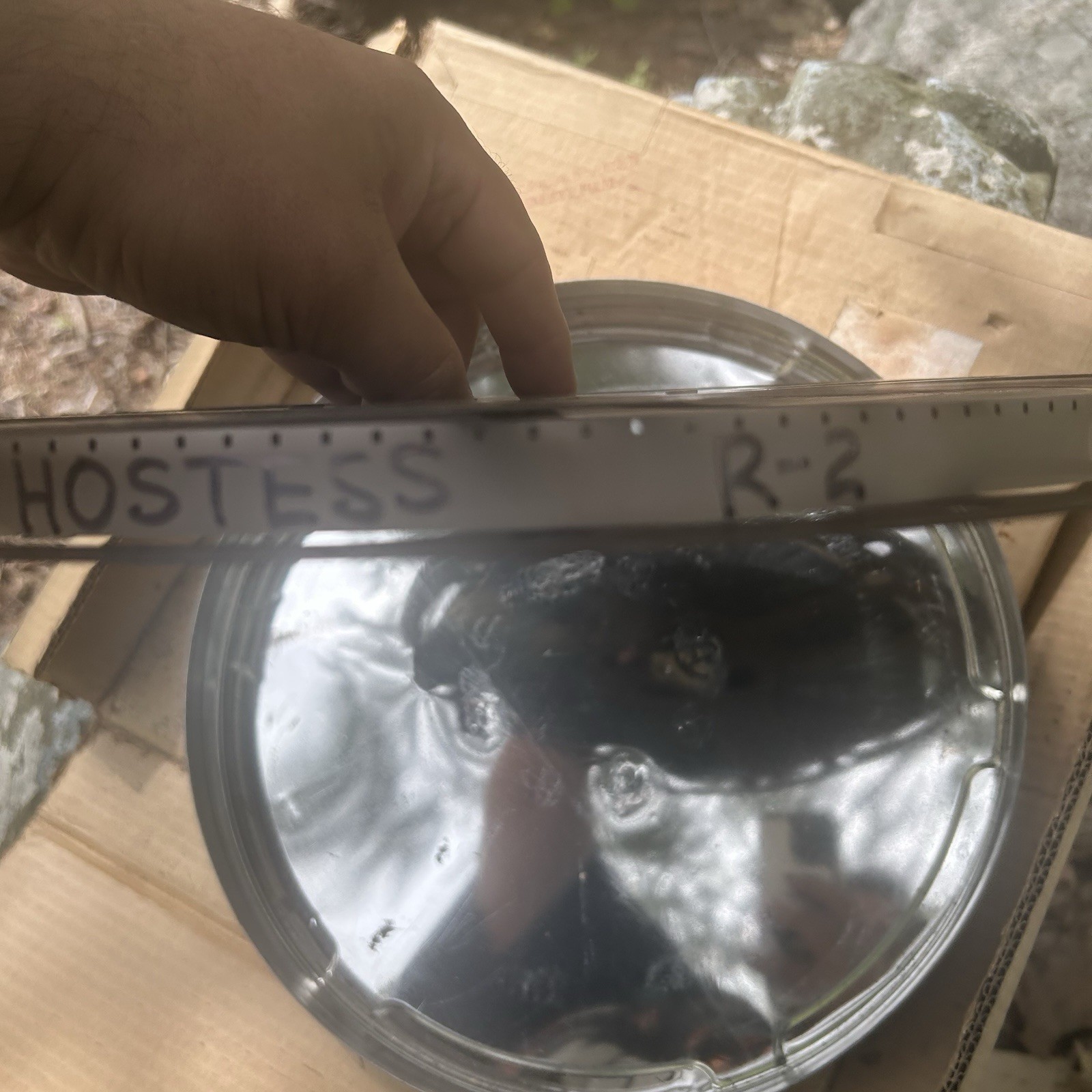 Vintage 1940s Swing Hostess Full Movie Reel On 2 Reels In Original Shipping Box