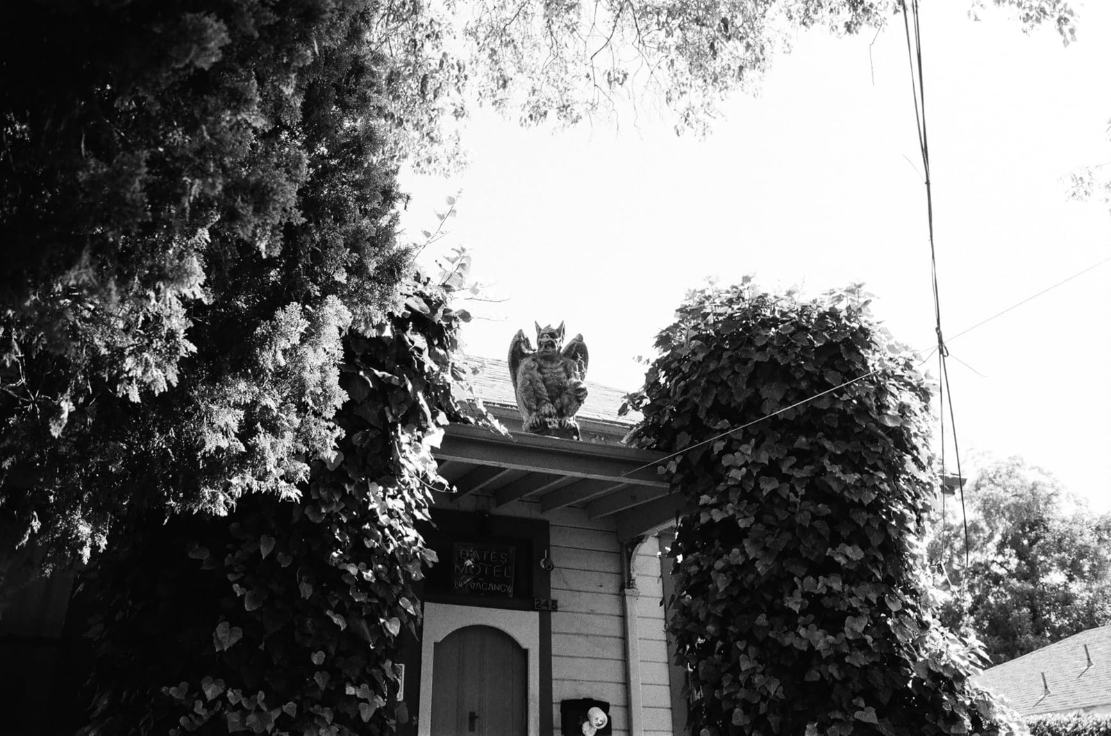 36EXP Black And White 35mm Film ISO 100 SHD Street Portraits DX 24x36mm