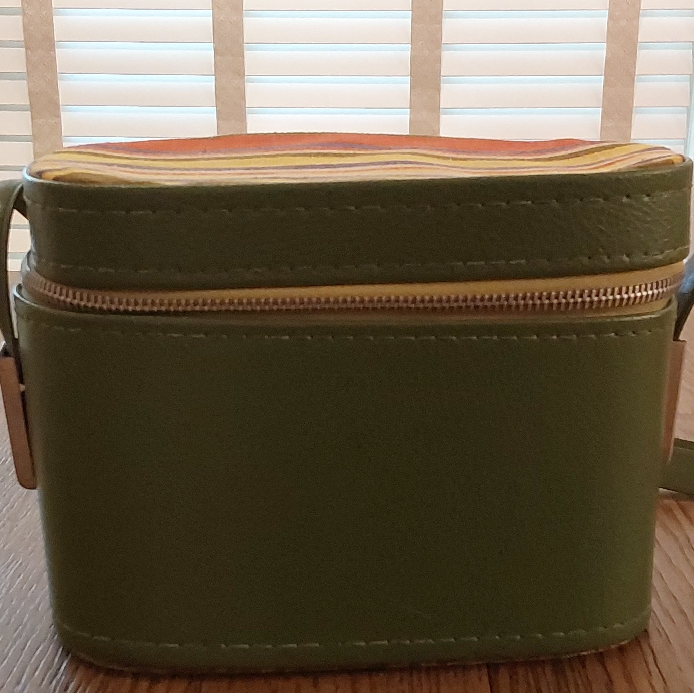 Green Faux Leather & Canvas Multicolor Camera Case w/ Zipper, Handle