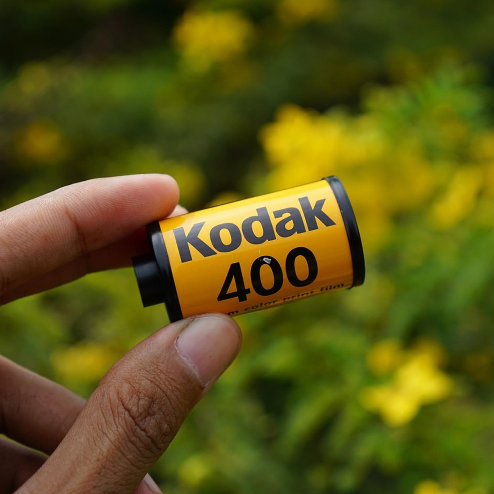 Kodak Ultramax 400 35mm Film – 6 Pack of 36 Exposure Rolls for 35mm Cameras