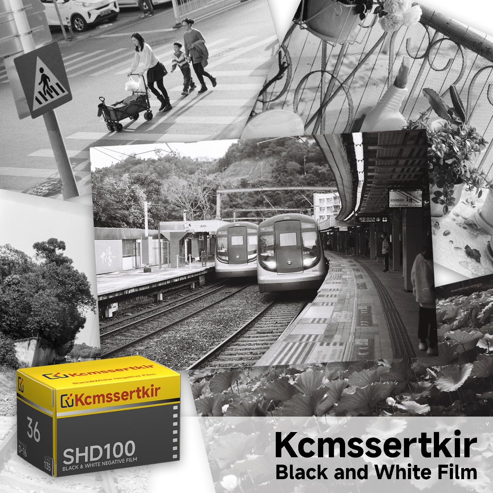 3 PCS Black And White Film 35mm SHD 100 ISO100 13536 Exposures