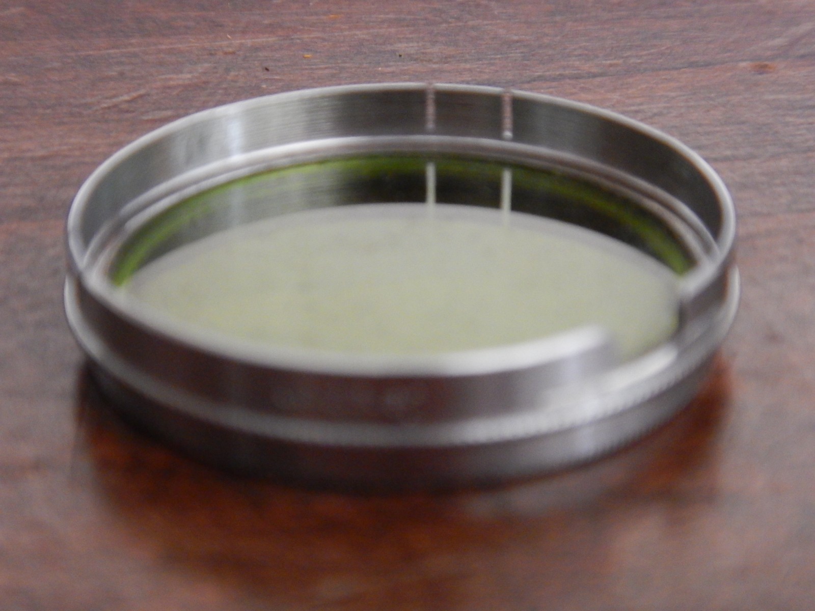 CENEIPLAN Gelbgrünfilter FILTER GELB – GRÜN 34mm A34 Steckfassung PUSH ON