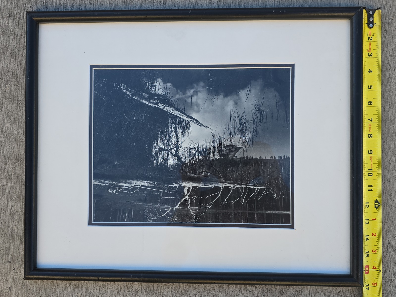 Fine Art Photography Wetlands Swamp Landscape Framed Moody Nature Prints