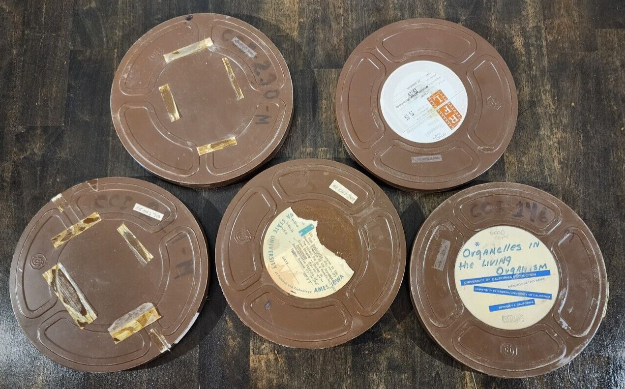Vtg Set of 5 Goldberg Brothers 16mm Metal Film Reel 9 1/2in Canister Art Decor