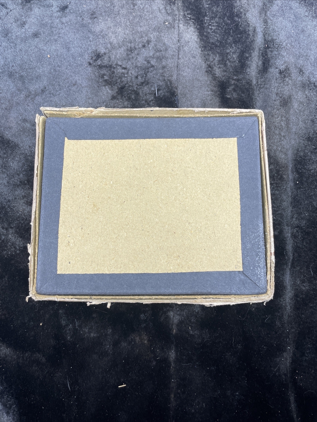 Antique HAMMER DRY PLATE CO. Photographic Plates / Tacoma Seattle Camera Store
