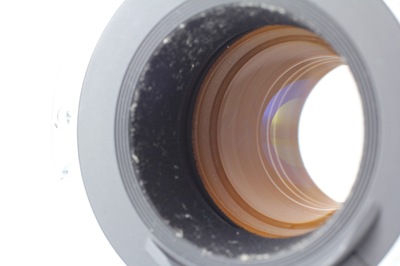 [Exc+5] Canon Extender EF 2x Teleconverter Lens From JAPAN