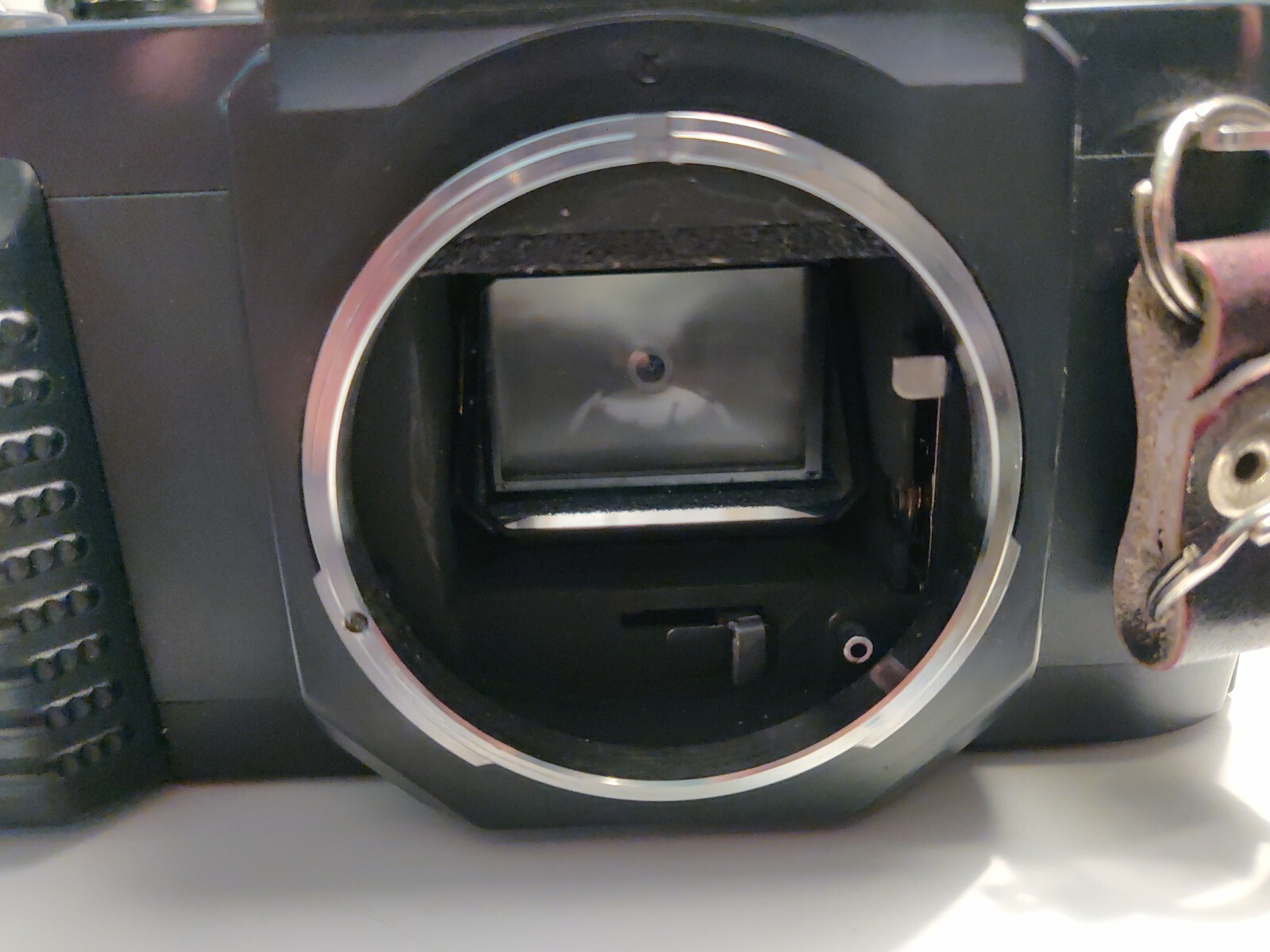 Canon T50 Konica FT-1 Olympus OMG Olympus Camera bodies
