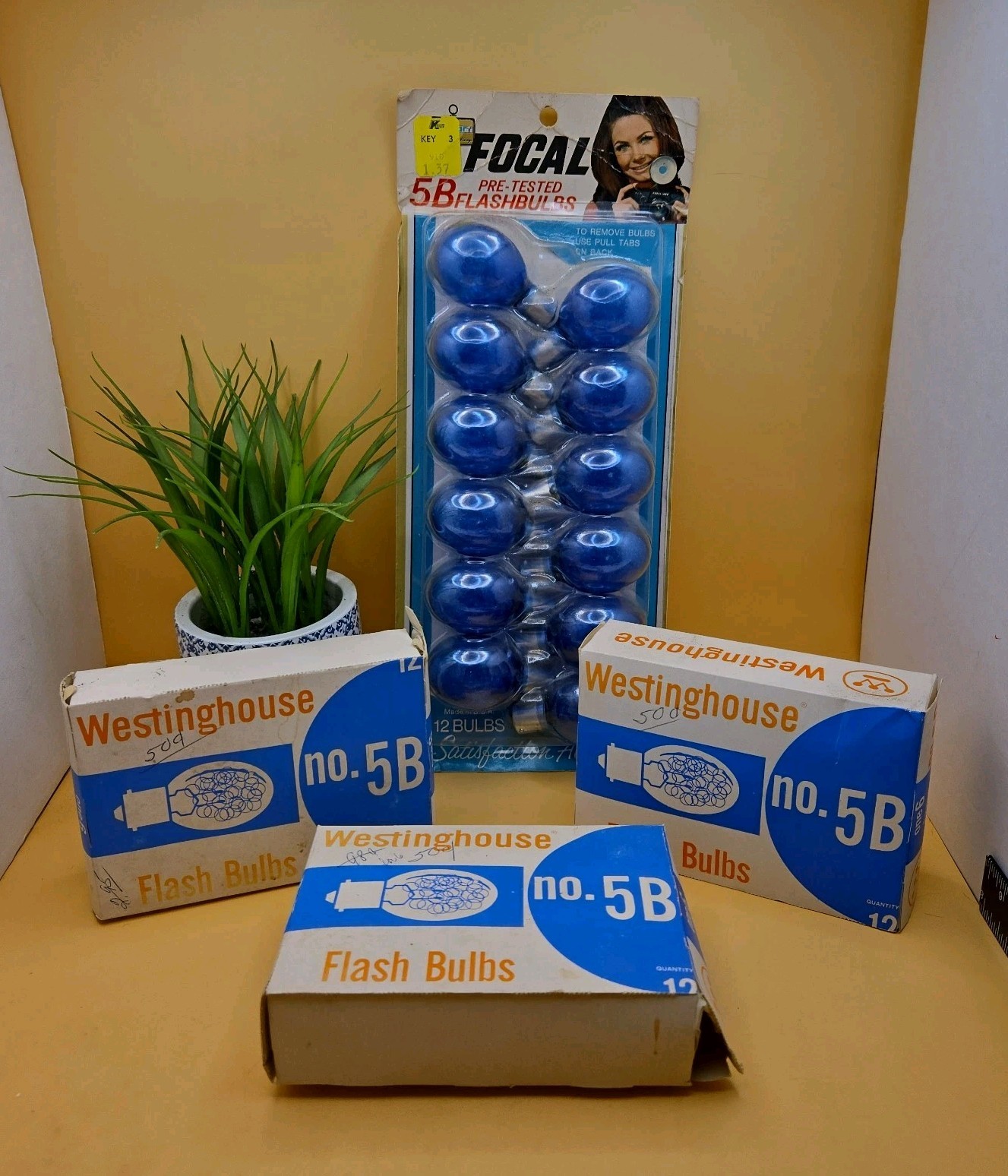 Vintage ~ FOCAL & Westinghouse ~ 5B Flashbulbs ~ 30 Bulbs ~ New Old Stock