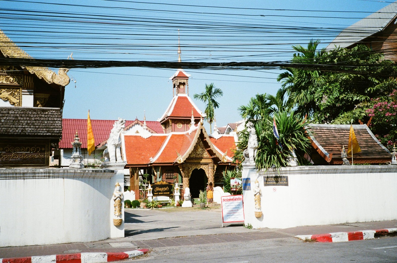 Color Prism 400 35mm Negative Film 36EXP ISO400 C41Processing DXCoded Roll