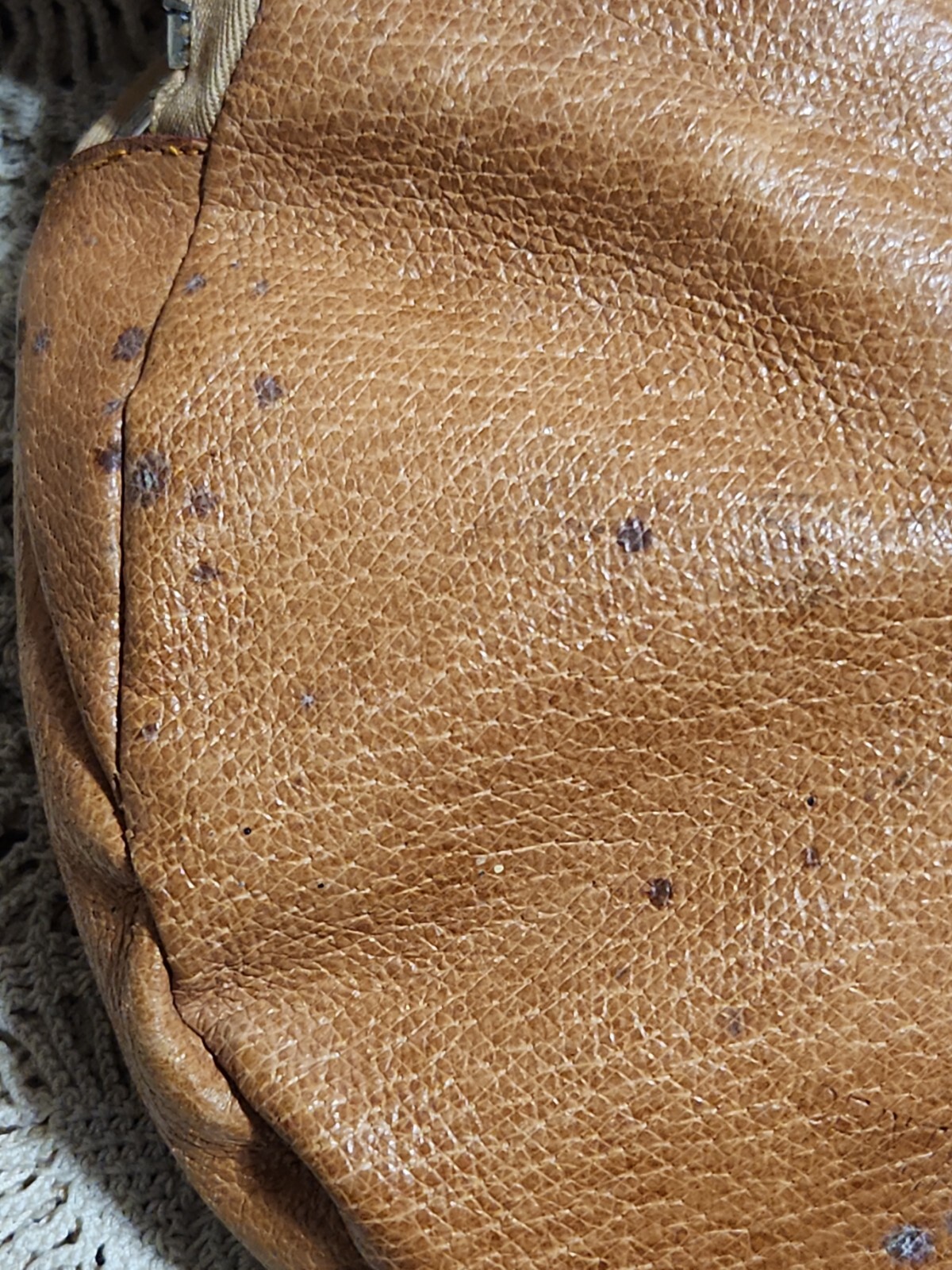 Canon 7 inch Reflector with Tan Case Vintage