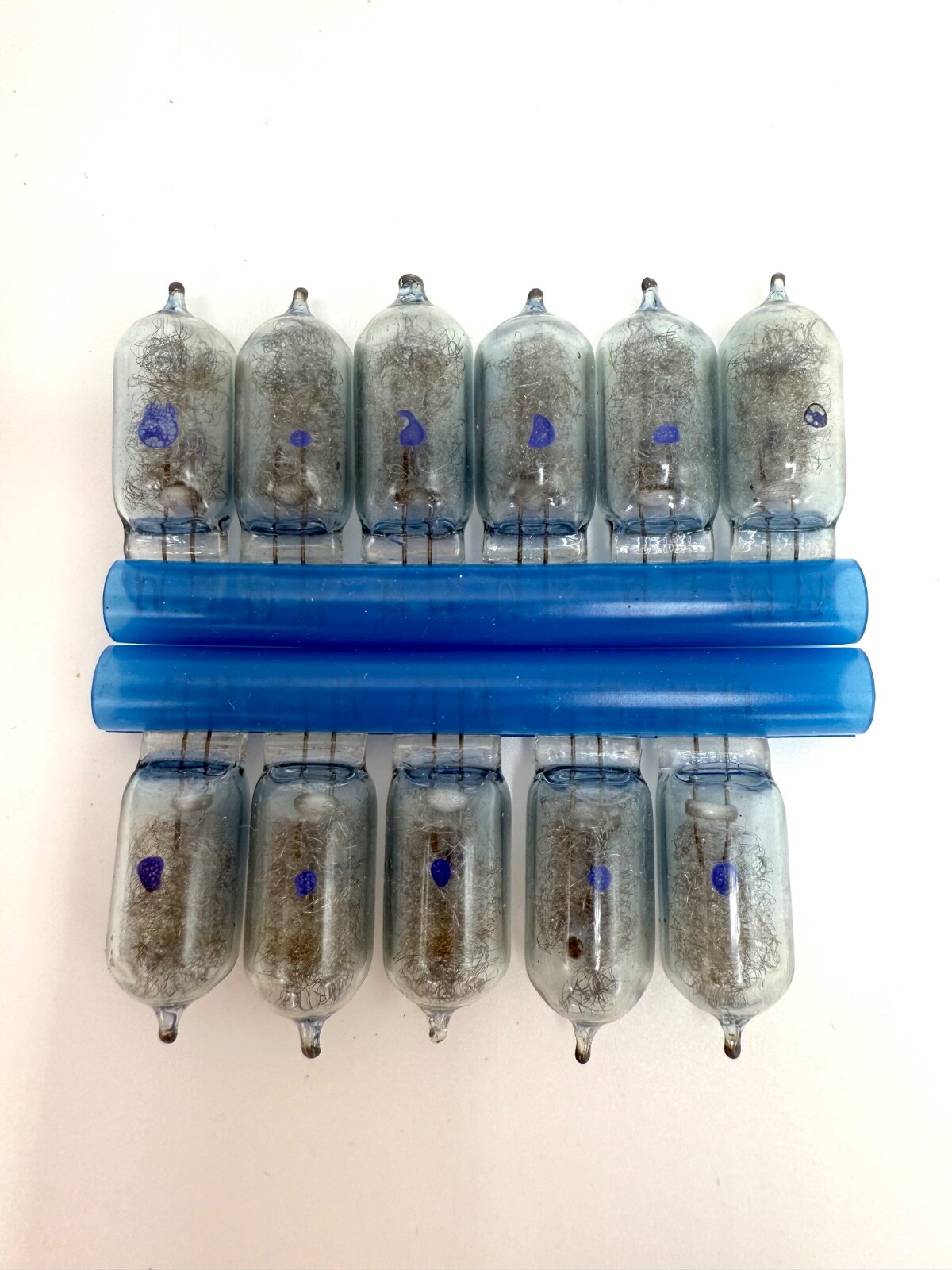 Sylvania Blue Dot Flashbulbs AG1B Box of 11 Blue Bulbs – Teen Box Cover Version