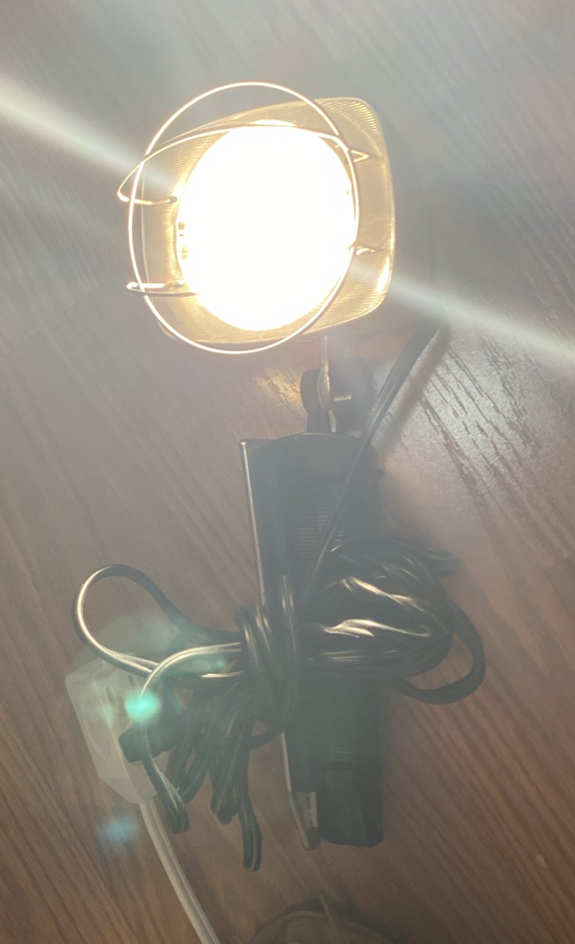 Vintage Sylvania Sun Gun2 Movie Light/w Bracket SG55. For Vintage Camera Users