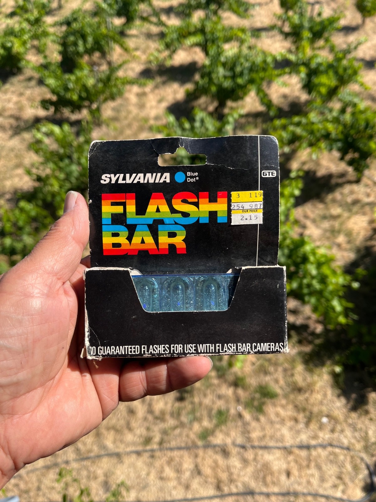 Sylvania Blue Dot Flash Pack