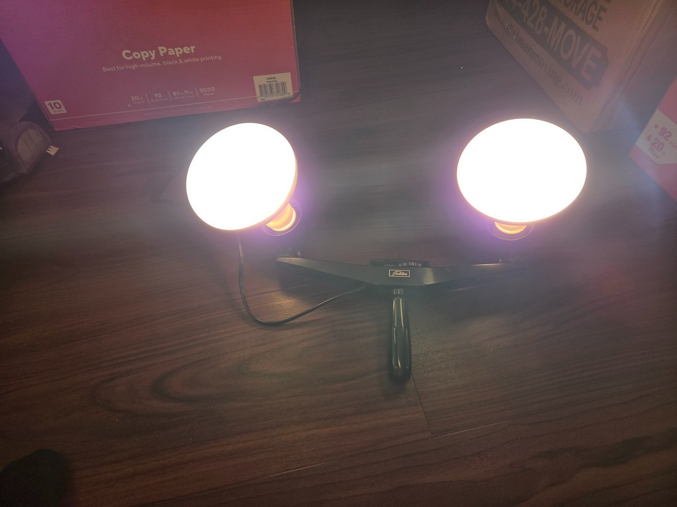 Vintage Toshiba Photography Handheld Light – Dual Bulbs – 10A250V – Works!
