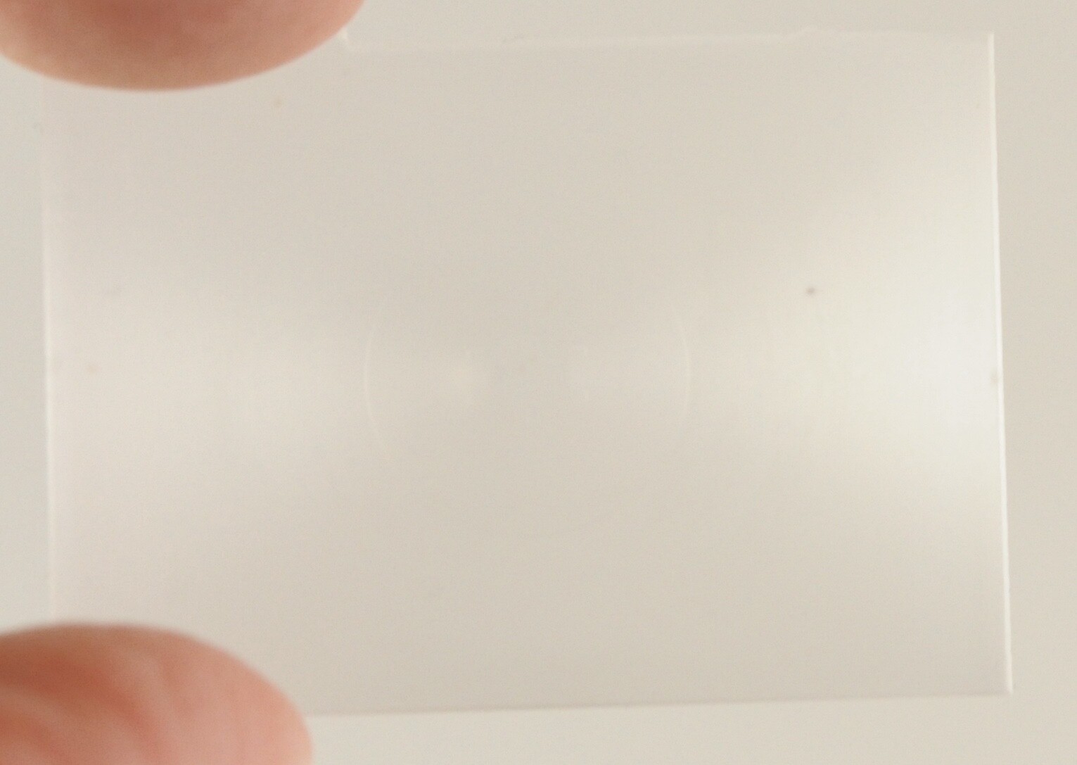 NIKON F-501/N2020 FOCUSING SCREEN – JAPAN