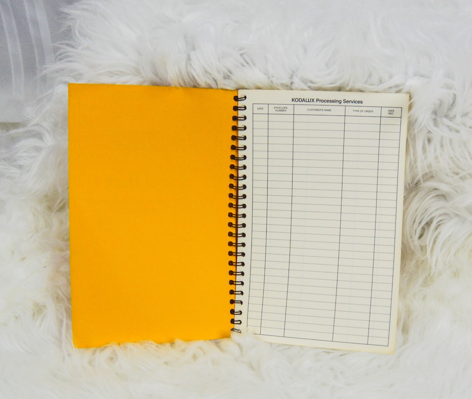Vintage Kodalux Record Book Processing Services