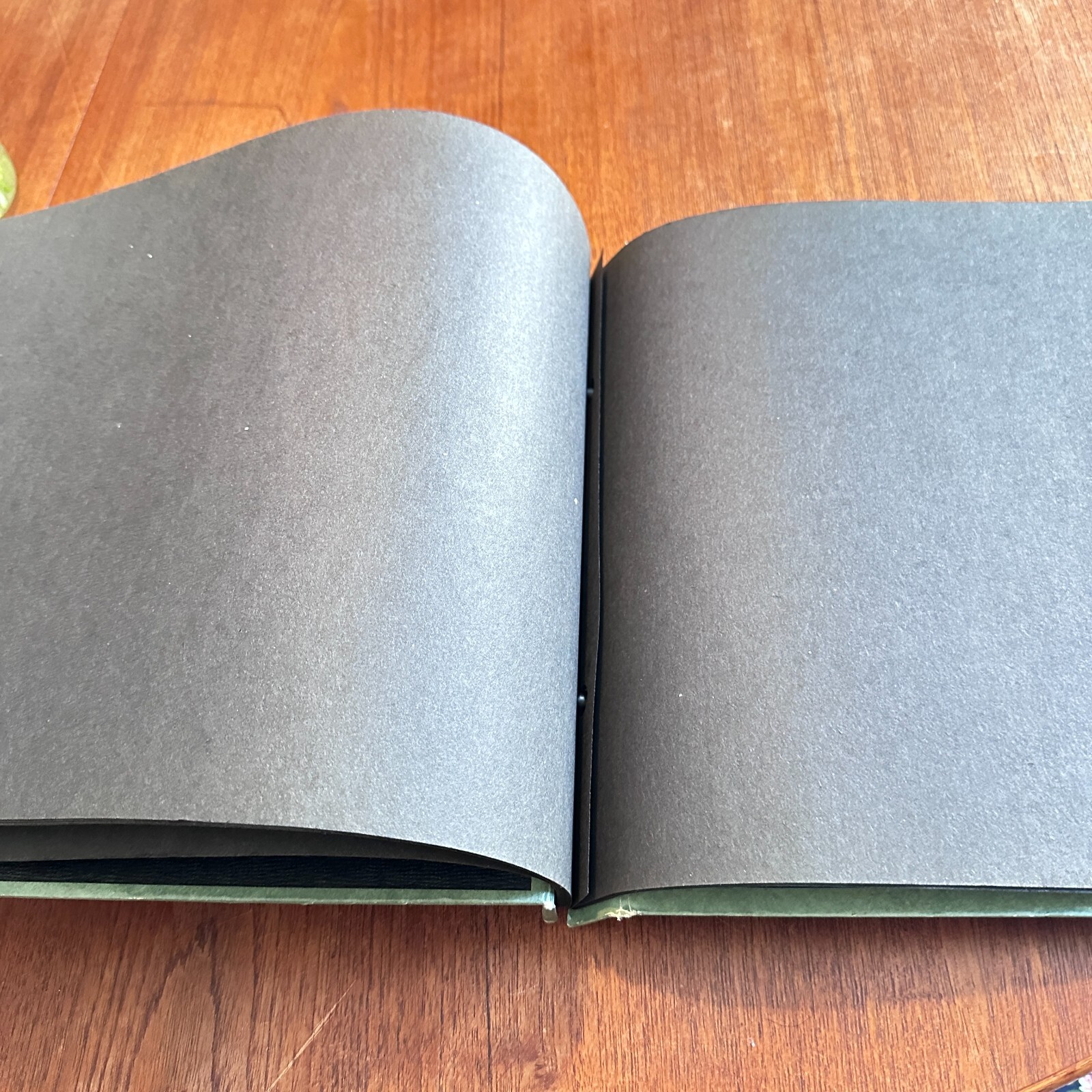 Vintage Green Photo Album 1940’s Grannycore Memories Grandma Cottagecore Old