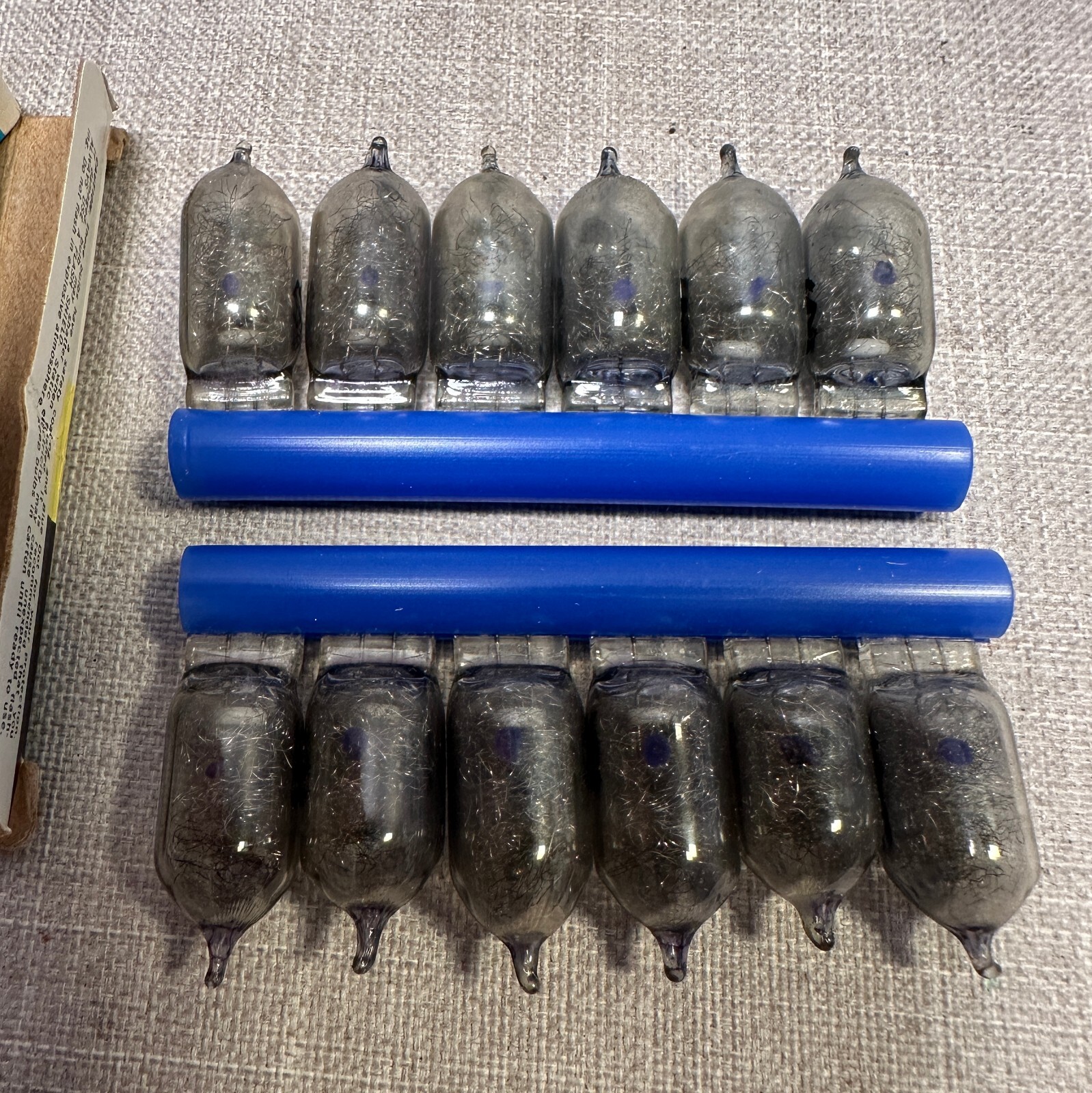 Sylvania blue dot flash bulbs – AG1B – 12 count Box. FREE SHIPPING!