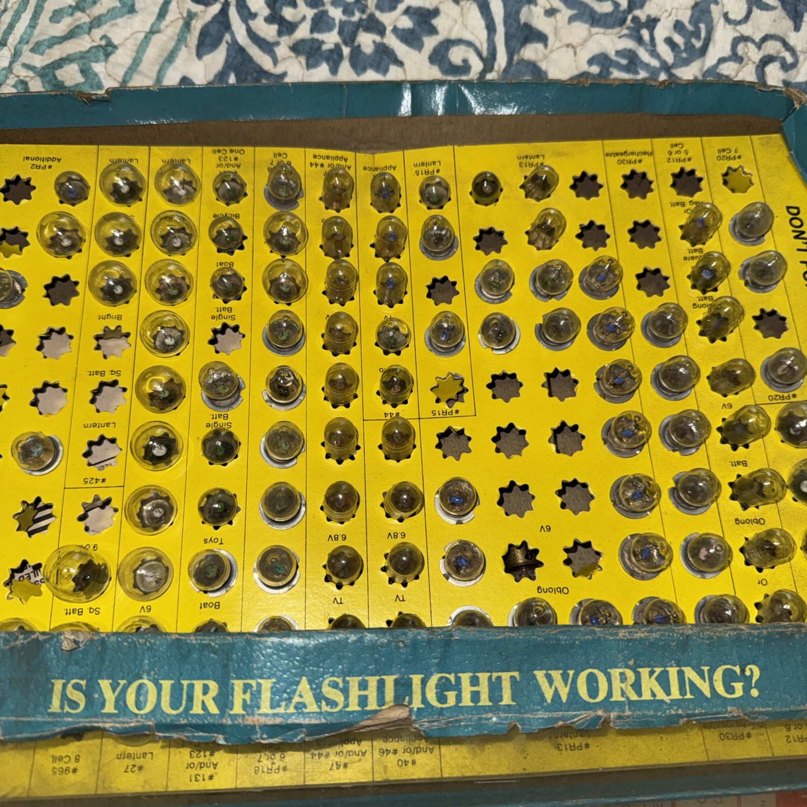 Duo Tint Flash Light Bulbs
