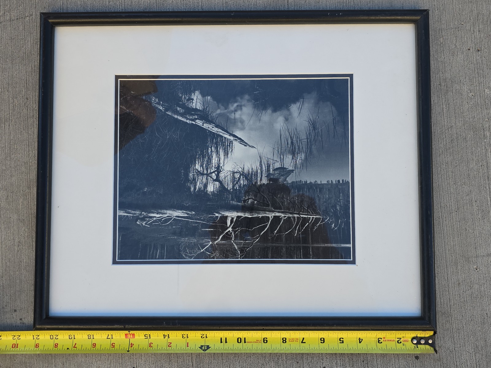 Fine Art Photography Wetlands Swamp Landscape Framed Moody Nature Prints