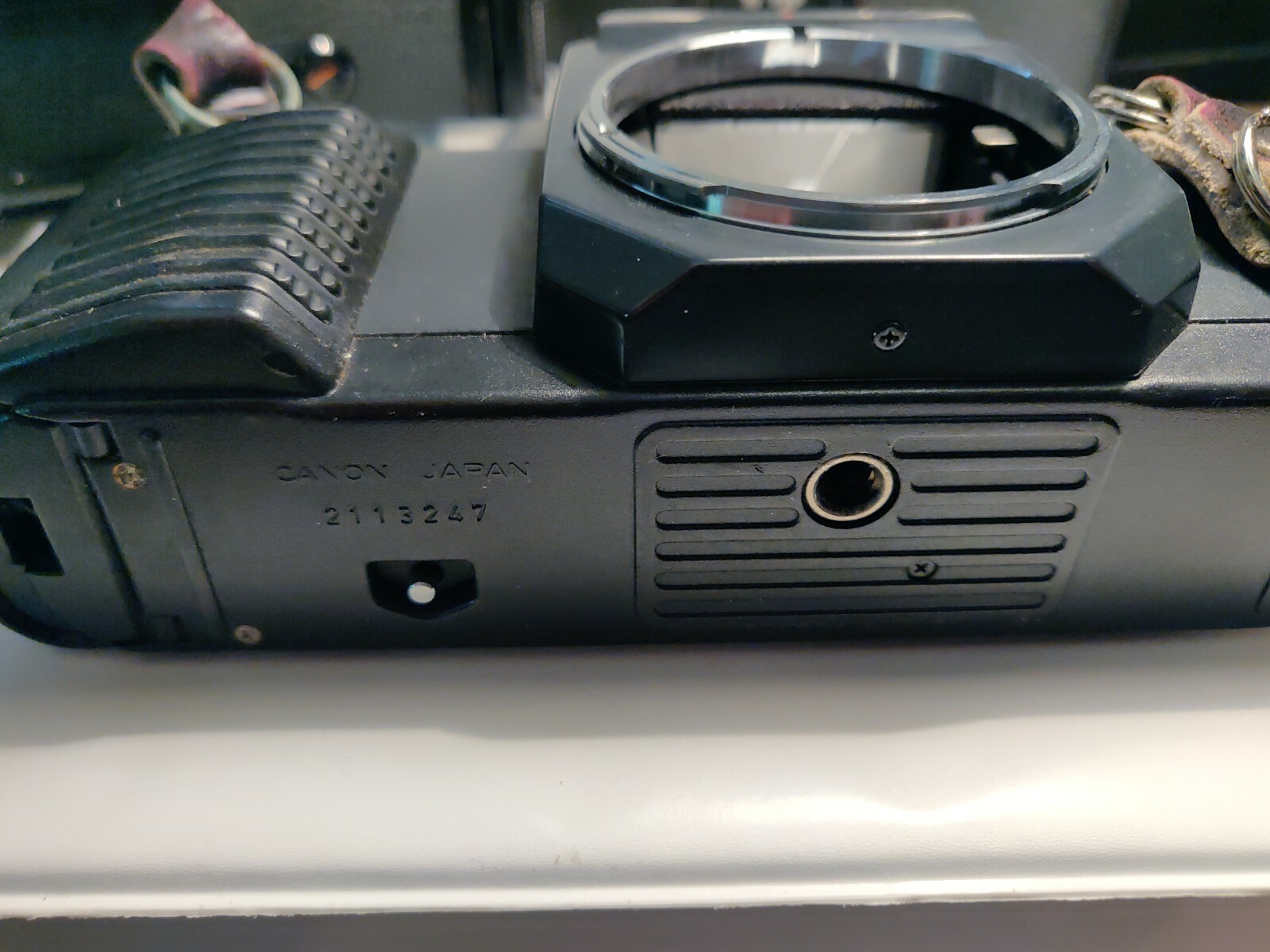Canon T50 Konica FT-1 Olympus OMG Olympus Camera bodies
