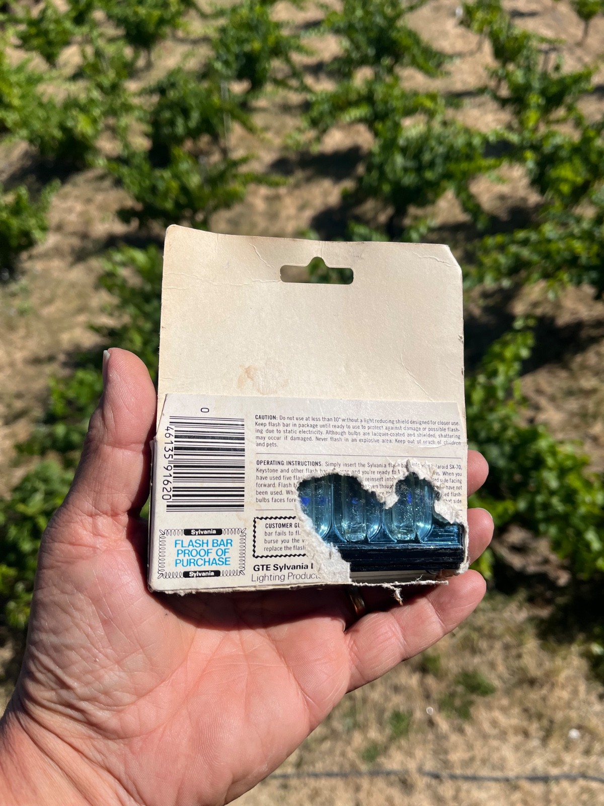 Sylvania Blue Dot Flash Pack