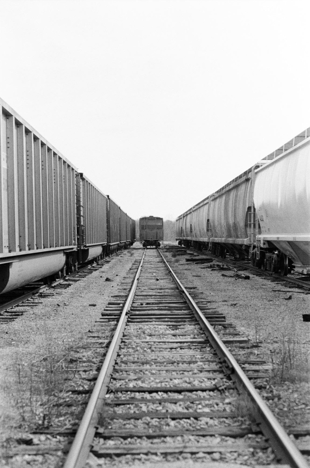 36EXP Black And White 35mm Film ISO 100 SHD Street Portraits DX 24x36mm