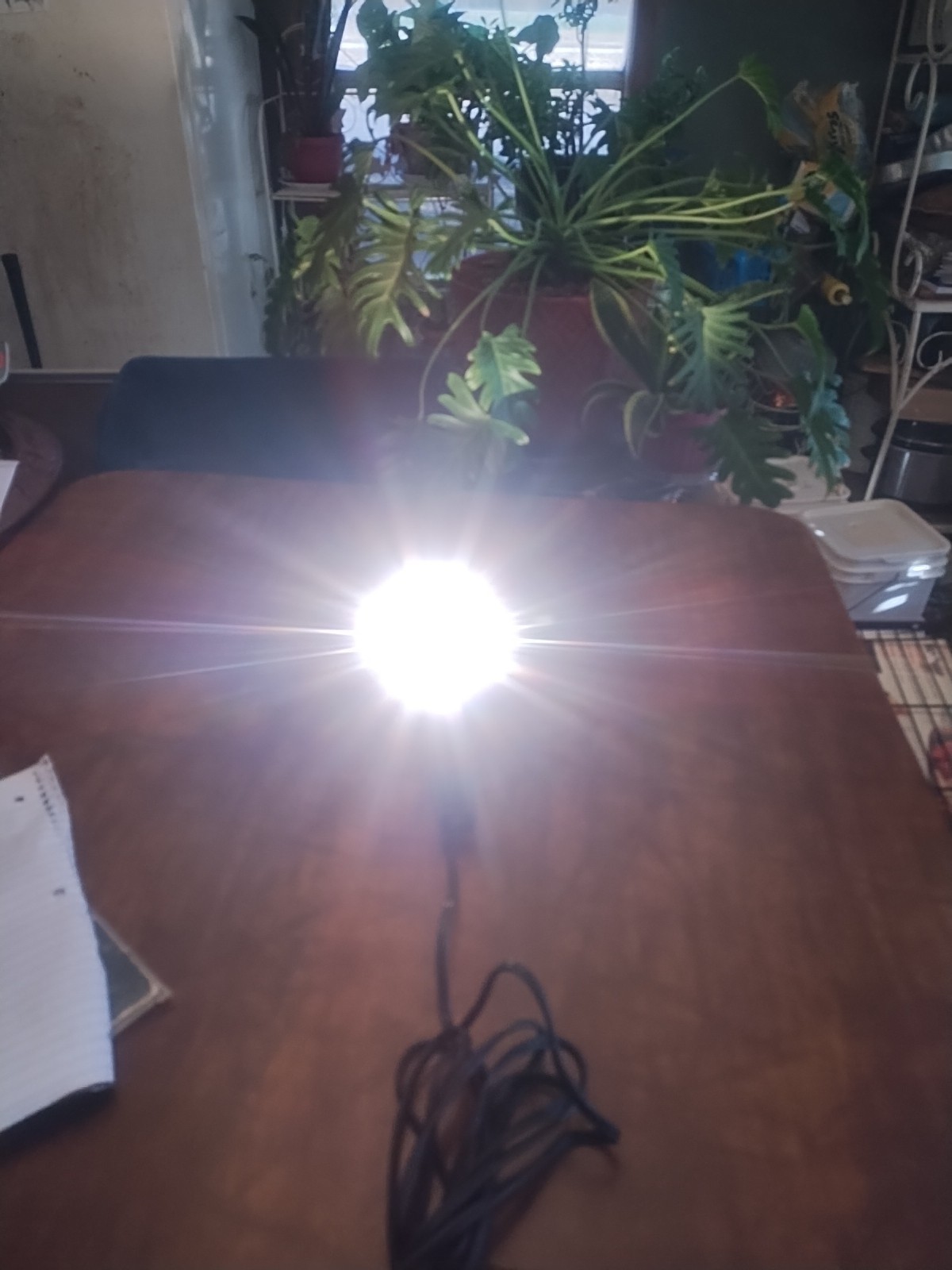 Vintage Sylvania Sun Movie Light. Sg – 50 Works Great.