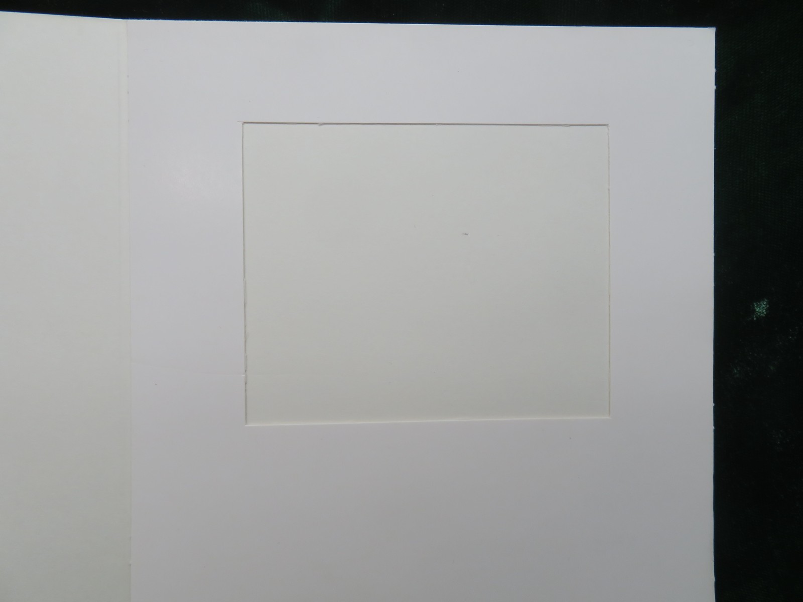 Vintage Lot of 50 D974D Polaroid Spectra Cardboard Print Photo Mounts 1-616506