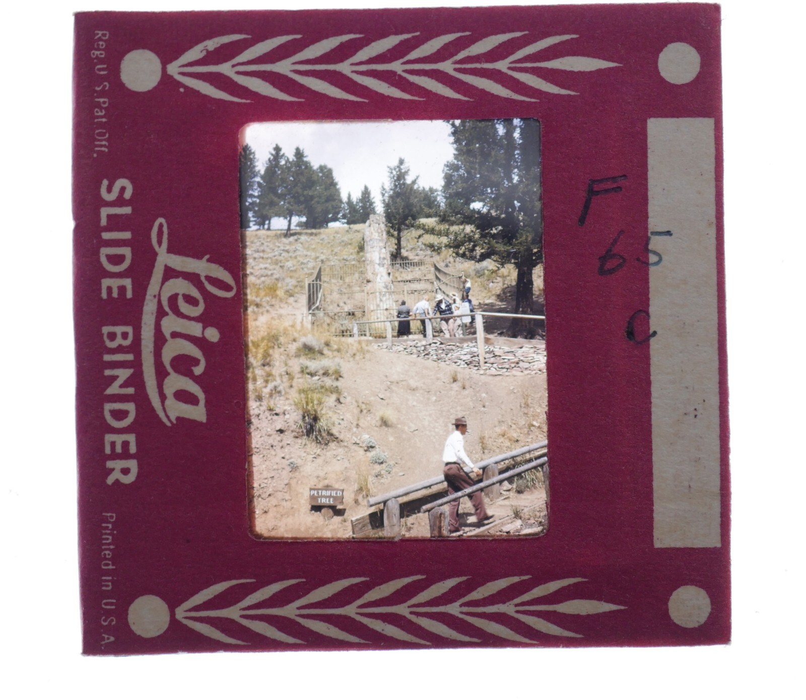 12 Slides Leica Slide Binders Yellowstone Mount Rushmore vintage 1950s?