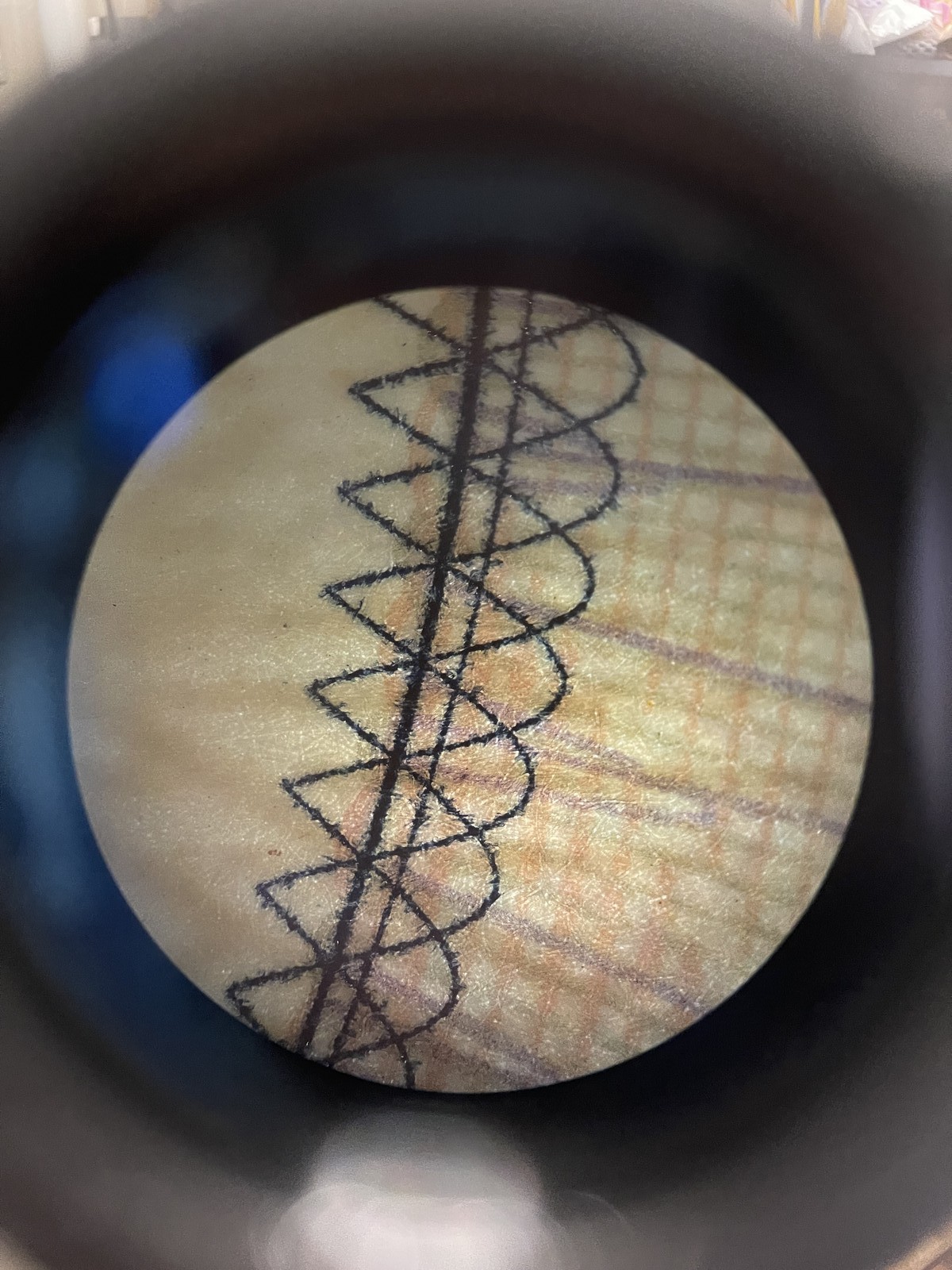 [MINT] Nikon Eclipse E200 Microscope E Plan 4x 10x 40x 100x Oil lens From Japan