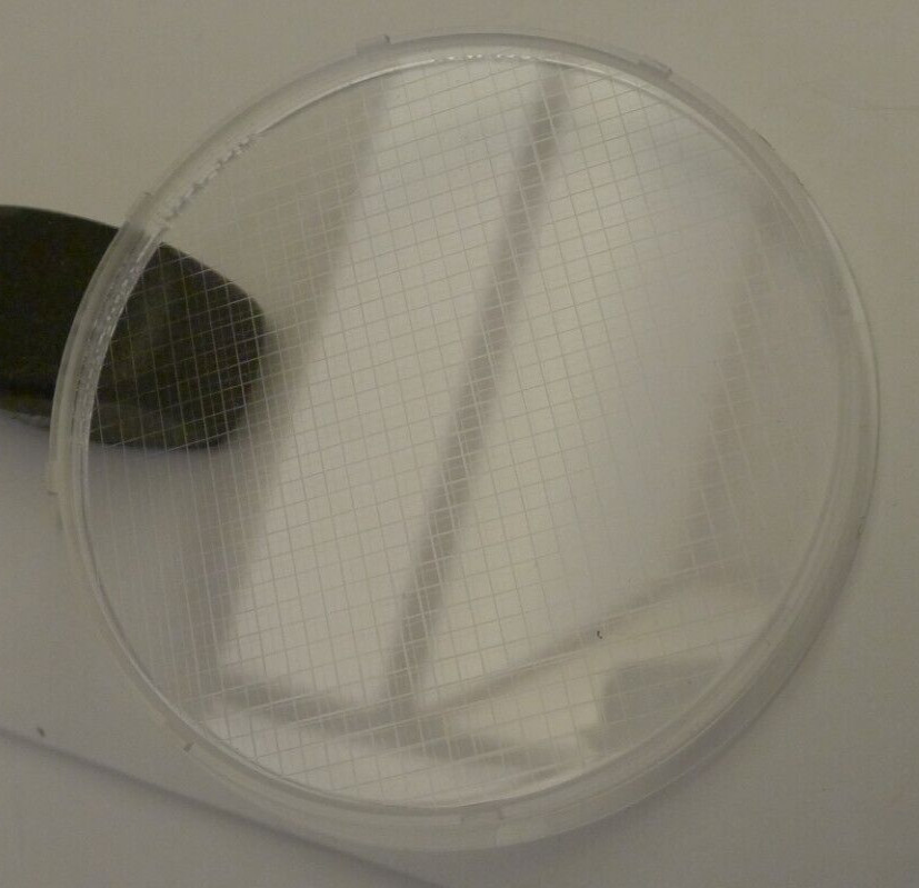 Ambico 4 Point Star Filter # 7716 Plastic 3×3 Round with Pouch & Instructions